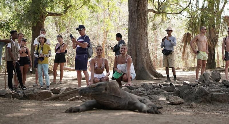 Komodo Island Tour With Private Boat - Key Points