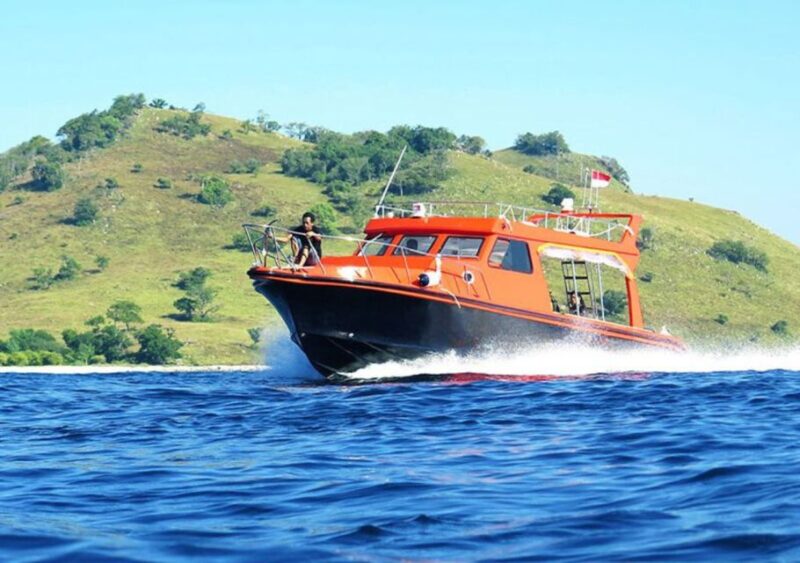 Komodo Islands: 2D1N Speedboat Tour, Land Tour & Hotel Stay - Key Points