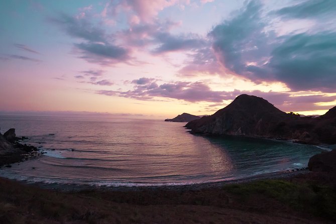 Komodo Private Tour 3DAYS 2 Night - Customer Feedback
