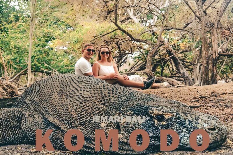 Komodo Tour: 4 Day Private Tour With Overnight Boat & Hotel - Important Information