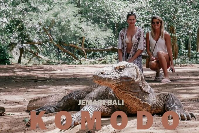 Komodo Tour: 4 Day Private Tour With Overnight Boat & Hotel - Arrival and Airport Transfer