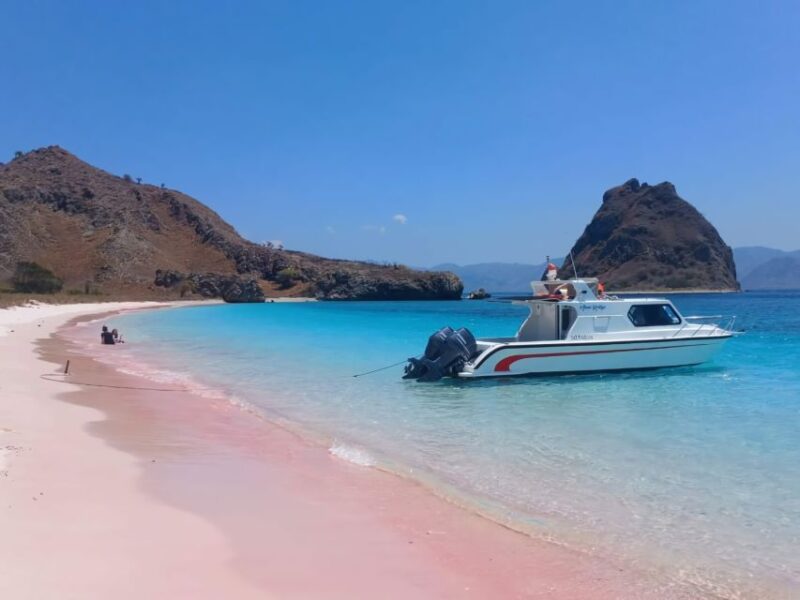Komodo Tour : Full Day Private Speedboat All in Package - Itinerary Highlights