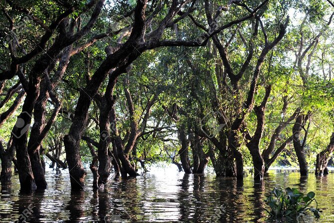 Kompong Phluk Village Tonle Sap Lake Half-Day Tour From Siem Reap - Tour Duration and Scheduling