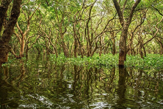 Kompong Phluk With Two Villages Cruise Tour From Siem Riep - Key Points