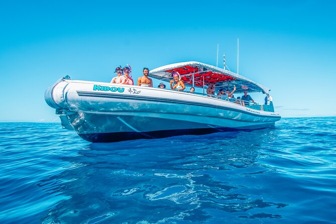 Kona: 3 Hour Dolphin Watch, Reef Snorkel, & BBQ Lunch - Cruise Along the Kona Coastline