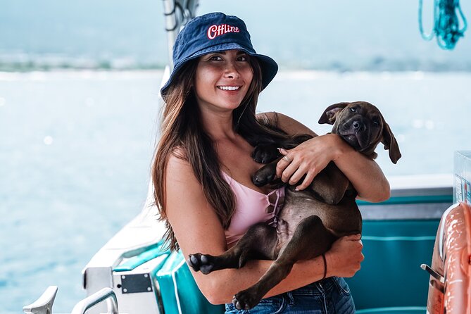 Kona: 3 Hour Dolphin Watch, Reef Snorkel, & BBQ Lunch - Snorkeling at Two Spots