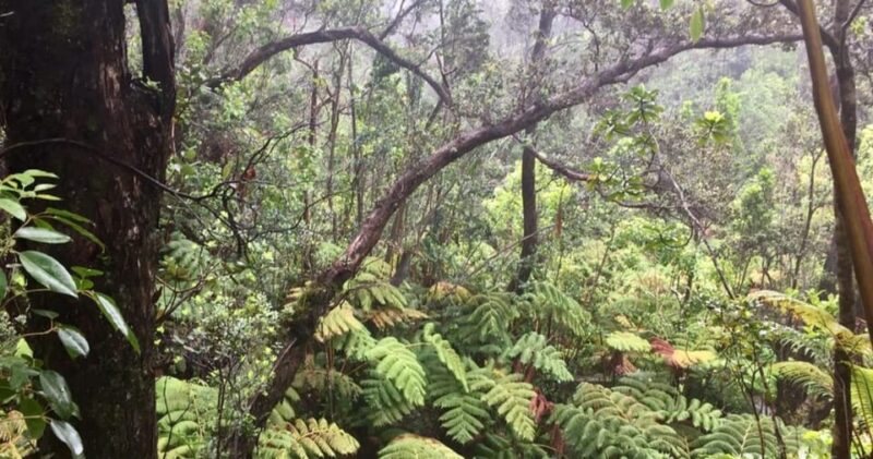 Kona: Big Island Big Volcano Adventure - Itinerary Highlights