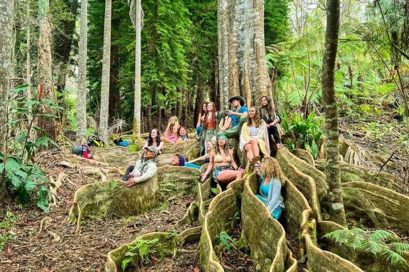 Kona Cloud Forest Sanctuary Montane Jungle Tour (2.5 hrs) - Who Will Truly Enjoy This Tour?
