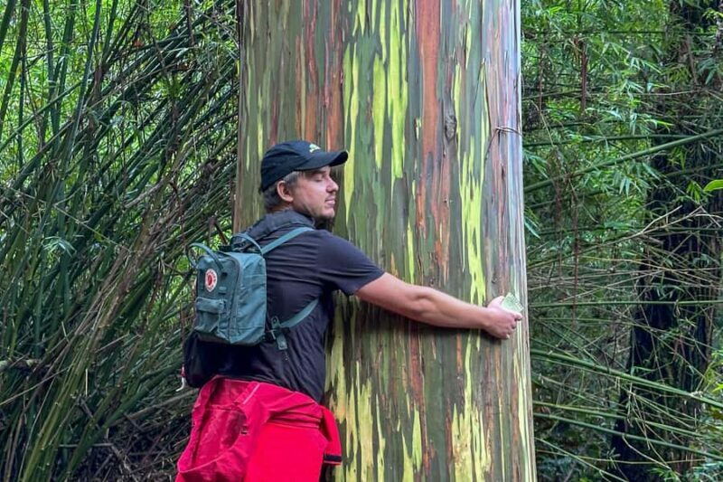 Kona Cloud Forest Sanctuary: Pan-Tropical Trail Guided Walk - Who is this tour best suited for?