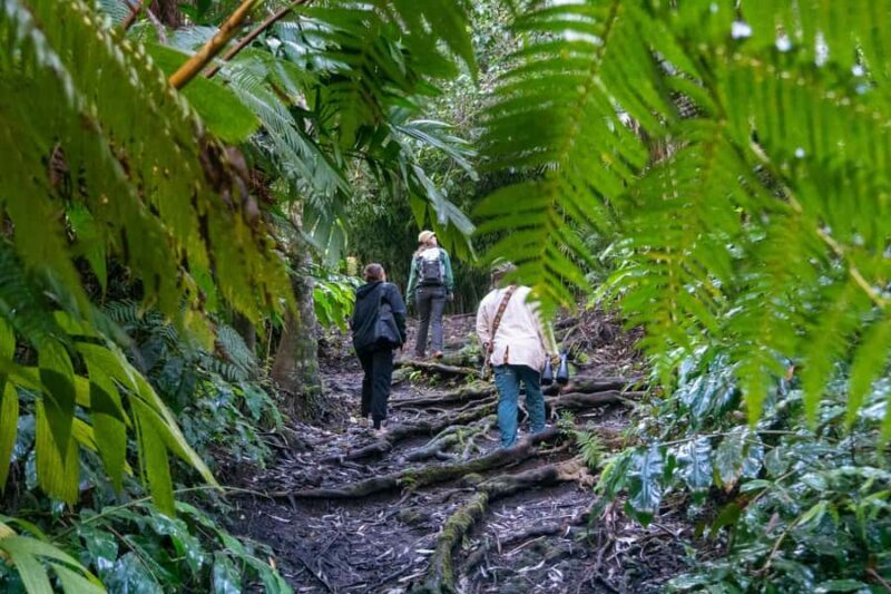 Kona Cloud Forest Sanctuary: Pan-Tropical Trail Guided Walk - FAQ