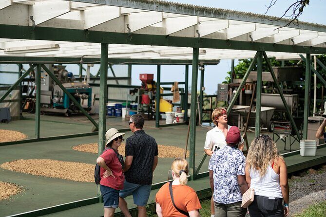 Kona Coffee Farm Tour - Kona Coffee Farm Tour Review