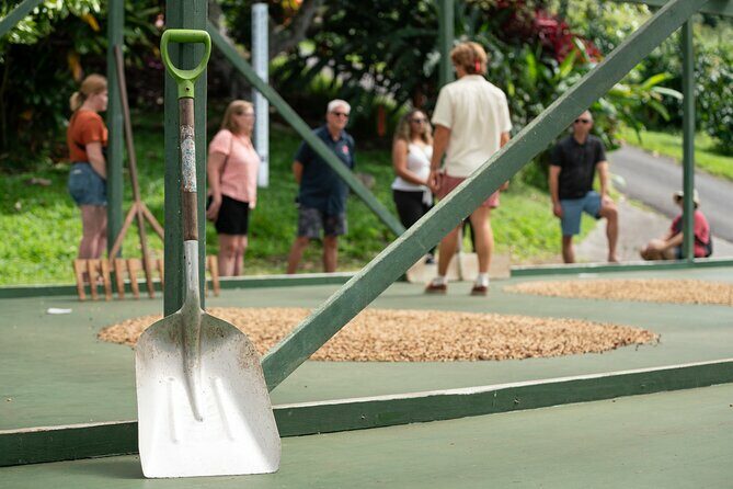 Kona Coffee Farm Tour - The Sum Up