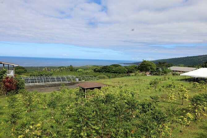 Kona Coffee Farm Tour from Tree to Tasting Room - A Closer Look at the Kona Coffee Farm Tour