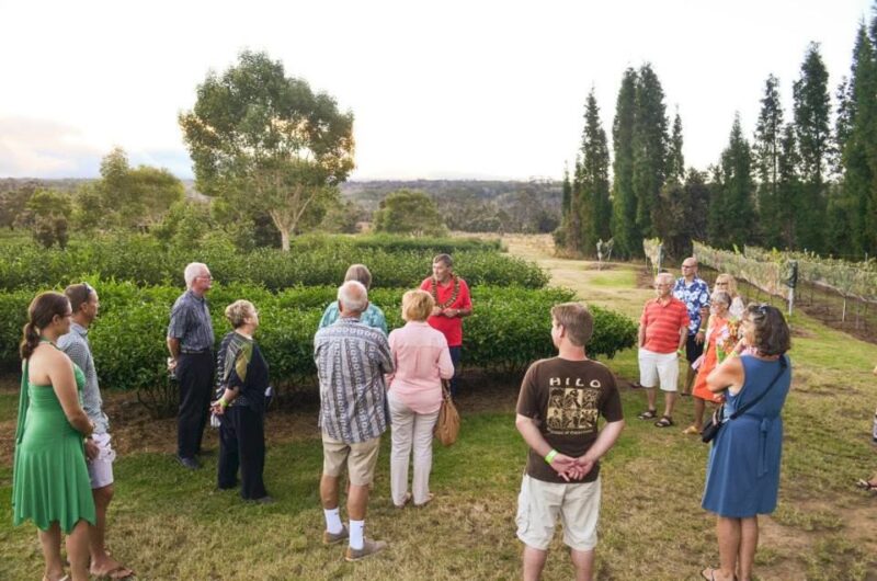 Kona: Hawaii Volcanoes National Park Tour - Itinerary Highlights