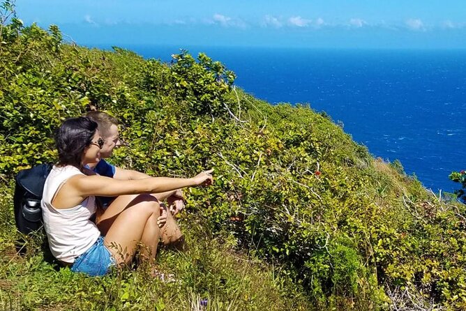 Kona: Kohala Coast and Waterfalls With Exclusive Remote Landing - Seating Assignments and Upgrades