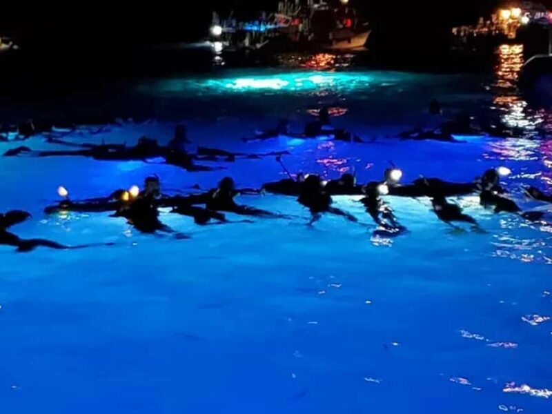 Kona: Manta Ray Night Snorkel Adventure - Practical Considerations and Tips