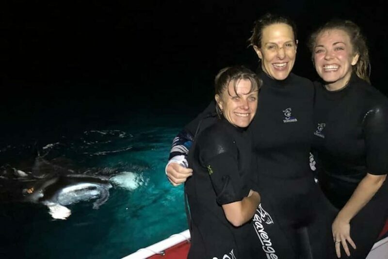 Kona Manta Ray Night Snorkel (Manta Guarantee Policy) - The Itinerary and What to Expect