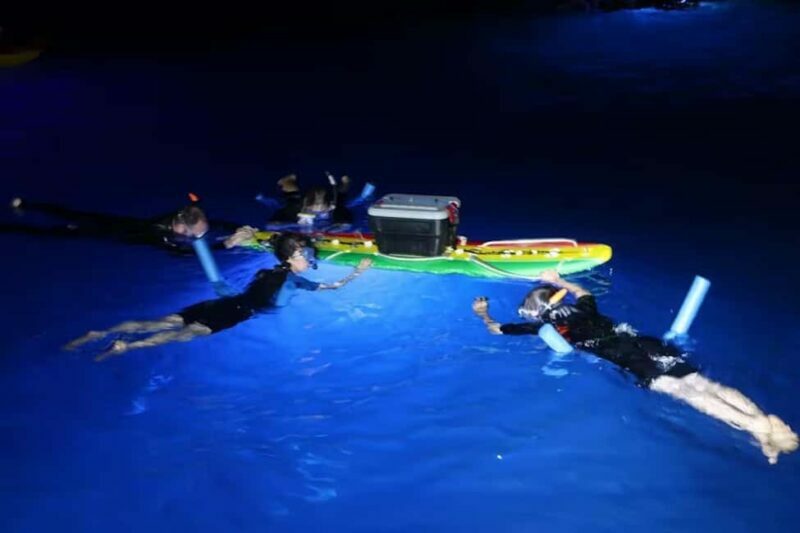 Kona Manta Ray Night Snorkel (Manta Guarantee Policy) - The Cost and Value