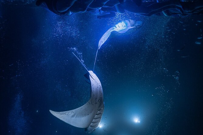 Kona Night Manta Snorkel Tour - Safety Considerations and Restrictions