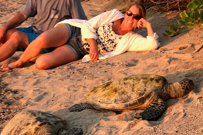 Kona Shore Excursion: Sea Turtles, Historic Kona & Coffee - Coffee Tasting and Tour
