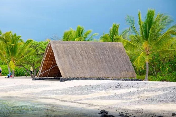 Kona Shore Excursion: Sea Turtles, Historic Kona & Coffee - Cancellation Policy