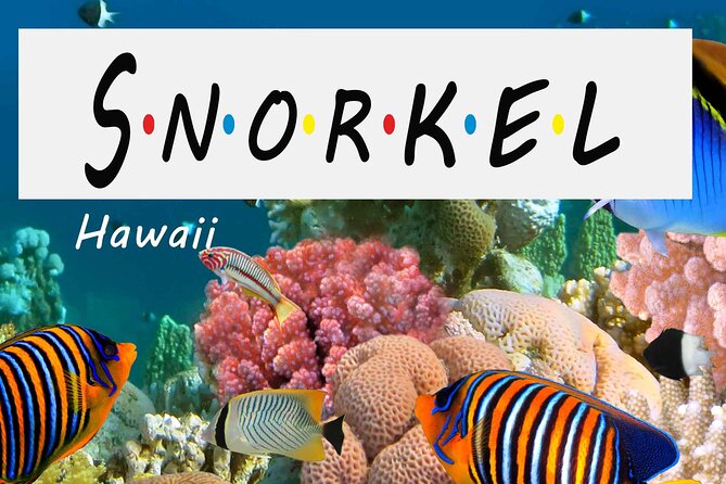Kona Shore Excursion: Wild Dolphin Reefs Snorkel and Sea Caves - Overview of the Excursion