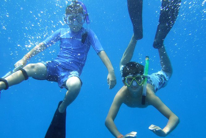 Kona Shore Excursion: Wild Dolphin Reefs Snorkel and Sea Caves - Recommended Items to Bring