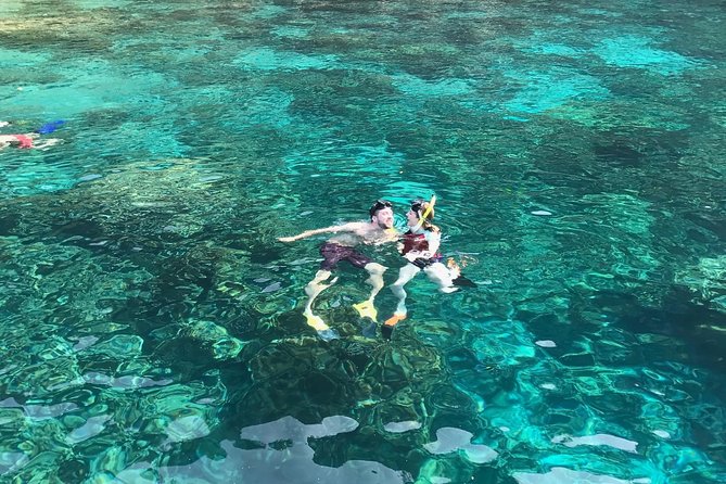 Kona Snorkeling - Beat the Crowd to Kealakekua Bay - Key Points