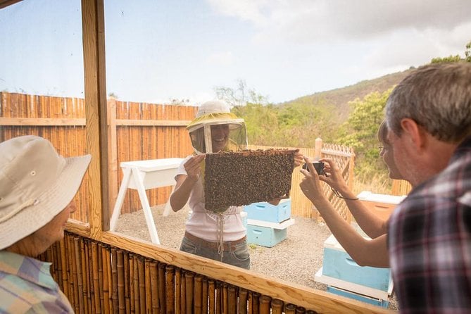 Kona Tour: Coffee Plantation, Kealakekua Bay, Kaloko-Honokohau Park, and Bee Farm - Kaloko-Honokohau National Historical Park