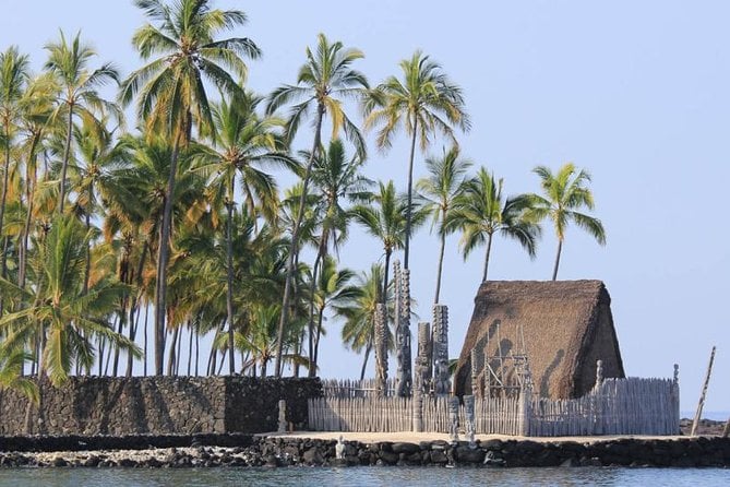 Kona Tour: Coffee Plantation, Kealakekua Bay, Kaloko-Honokohau Park, and Bee Farm - Honokohau Beach