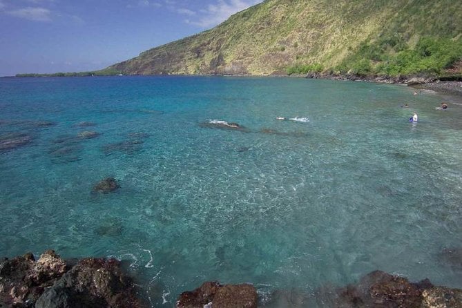 Kona Tour: Coffee Plantation, Kealakekua Bay, Kaloko-Honokohau Park, and Bee Farm - Big Island Bees