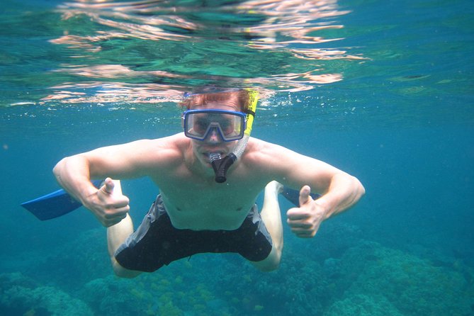Konas Deluxe Snorkel - Beat the Crowds to Captain Cook and Place of Refuge - Age and Weight Requirements