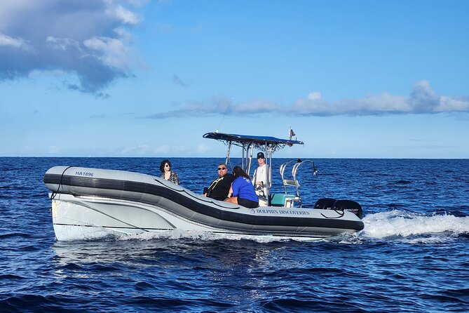 Konas Deluxe Snorkel - Beat the Crowds to Captain Cook and Place of Refuge - Meeting Point and Duration