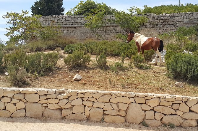 Konavle Countryside Private Tour - Safety and Accessibility