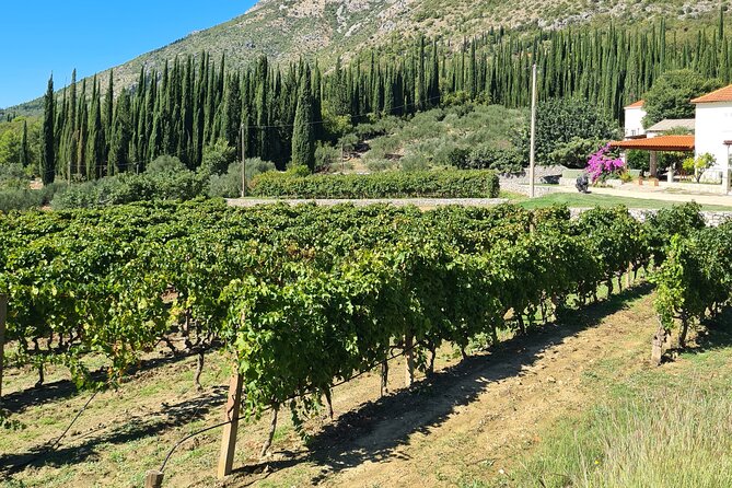 Konavle Gastro & Culture Tour (Small Group) - Cancellation Policy