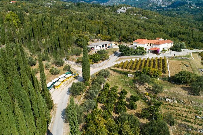 Konavle Tradition & Vines: Brajković Winery Journey - Customer Ratings and Reviews
