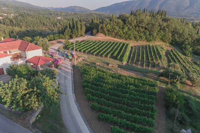 Konavle Tradition & Vines: Brajković Winery Journey - Highlights of the Winery Tour