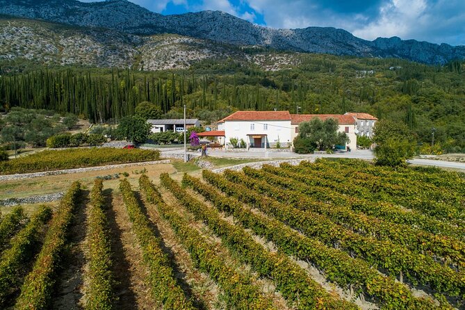 Konavle Tradition & Vines: Brajković Winery Journey - Welcoming Atmosphere and Inclusions