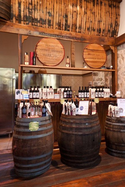 Konavle Valley: Wine Tasting at Dubrovnik Cellars - State-of-the-Art Winemaking Technology