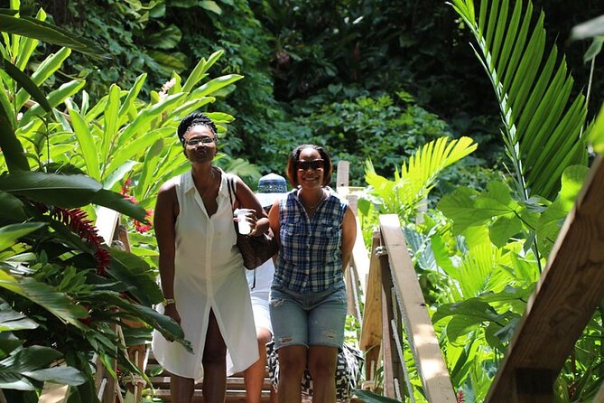 Konoko Falls and Bamboo Blu Beach From Ocho Rios Cruise Port - Konoko Falls