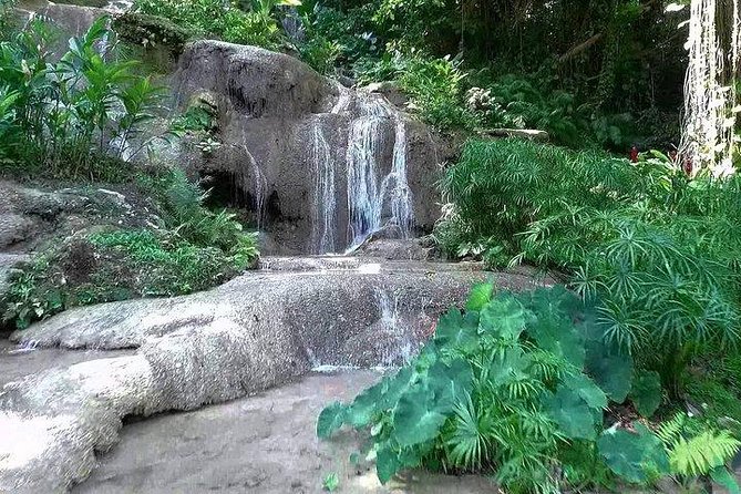 Konoko Falls and Garden Tour From Negril - Tour Details
