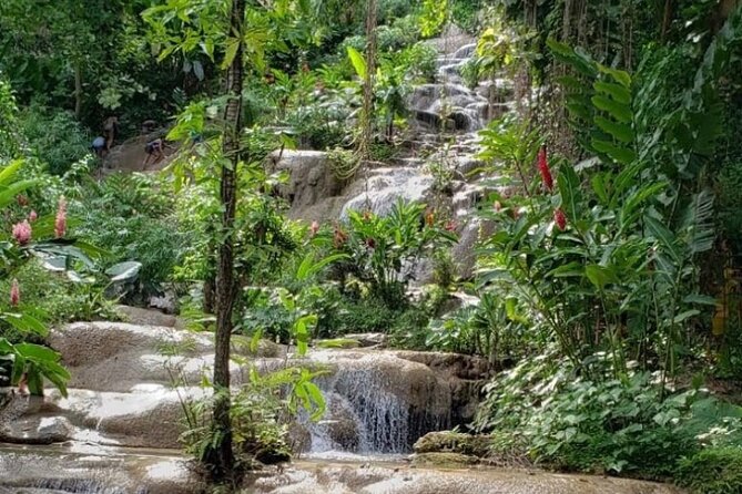 Konoko Falls and Park Private Tour - Cancellation Policy