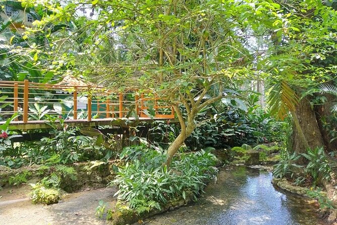 Konoko Falls and Park Private Tour - What to Expect