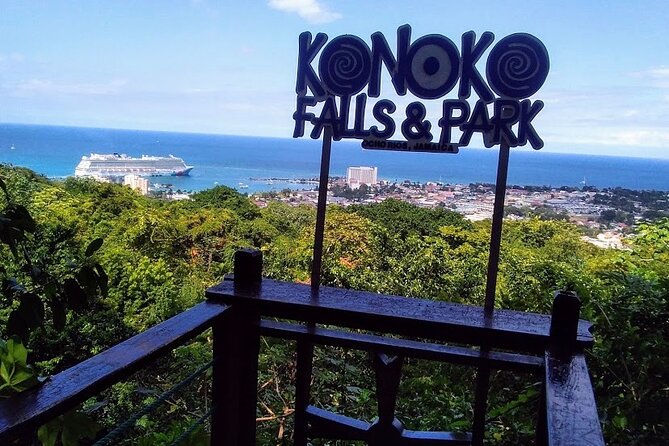 Konoko Falls and Park Private Tour - Highlights of the Tour