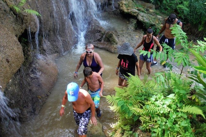 Konoko Falls and Park Private Tour With Hotel Pickup - Inclusions and Pricing