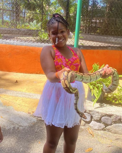 Konoko Falls and Park With Mini Zoo Private Tour - Key Points