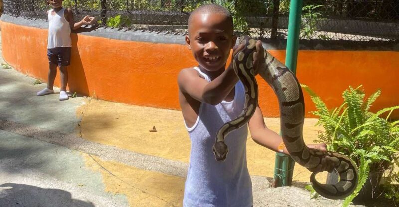 Konoko Falls and Park With Mini Zoo Private Tour - Pricing and Duration
