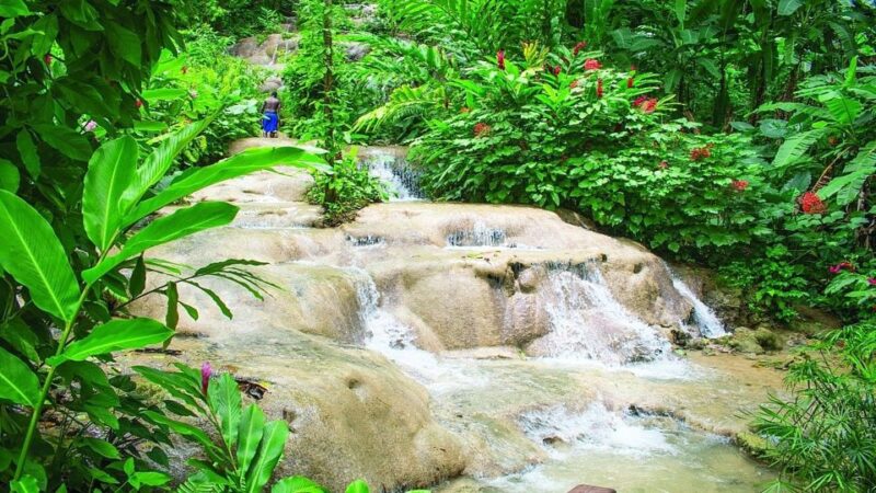 Konoko Falls and Park With Mini Zoo Private Tour - Language and Group Type