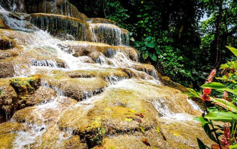 Konoko Falls and Park With Mini Zoo Private Tour - Guided Tour Details