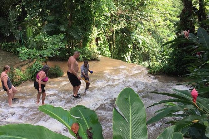 Konoko Falls and Tropical Garden Tour From Ocho Rios - Panoramic Views